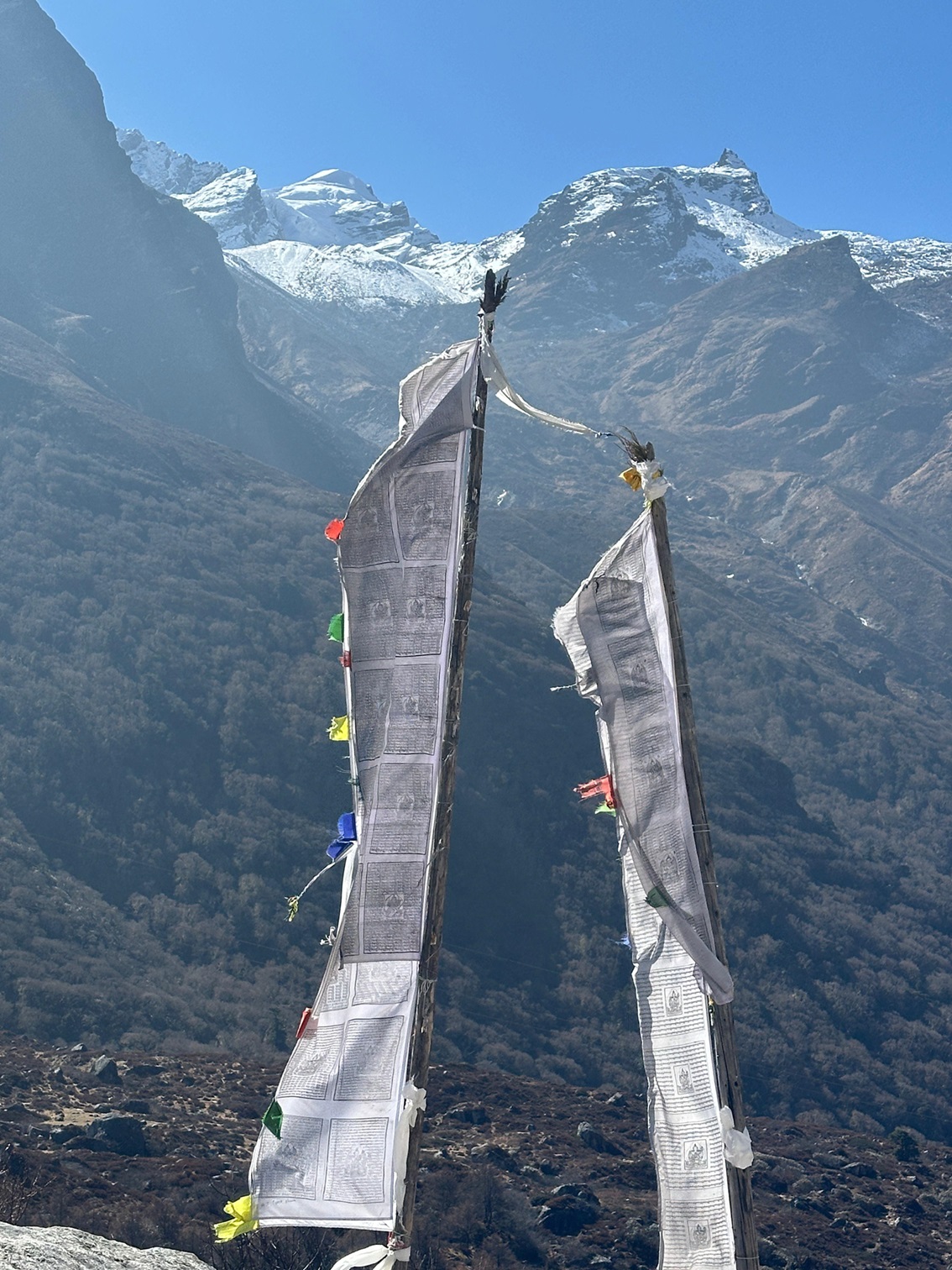 langtang white flags 1.jpg